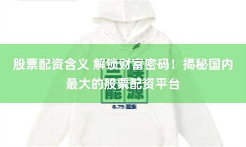 股票配资含义 解锁财富密码！揭秘国内最大的股票配资平台