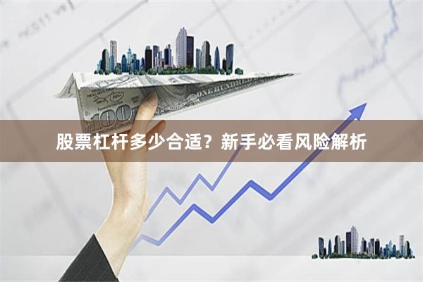 股票杠杆多少合适？新手必看风险解析